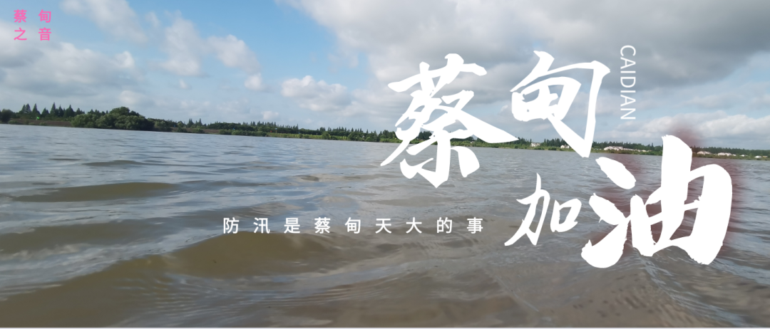 蔡甸區(qū)啟動(dòng)防汛ⅰ級(jí)應(yīng)急響應(yīng)，做好鋪土釘防汛木樁工作