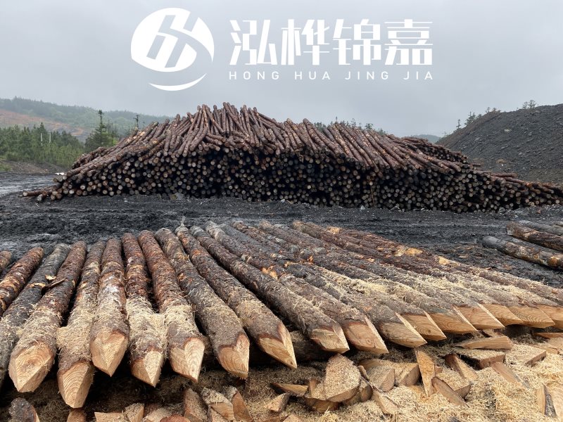 6米長松木樁有哪些作用，多少錢一根？