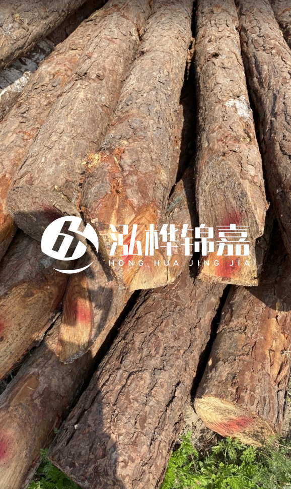 <strong>松木樁和杉木樁的用途區(qū)別？哪個(gè)更適合打樁用？</strong>