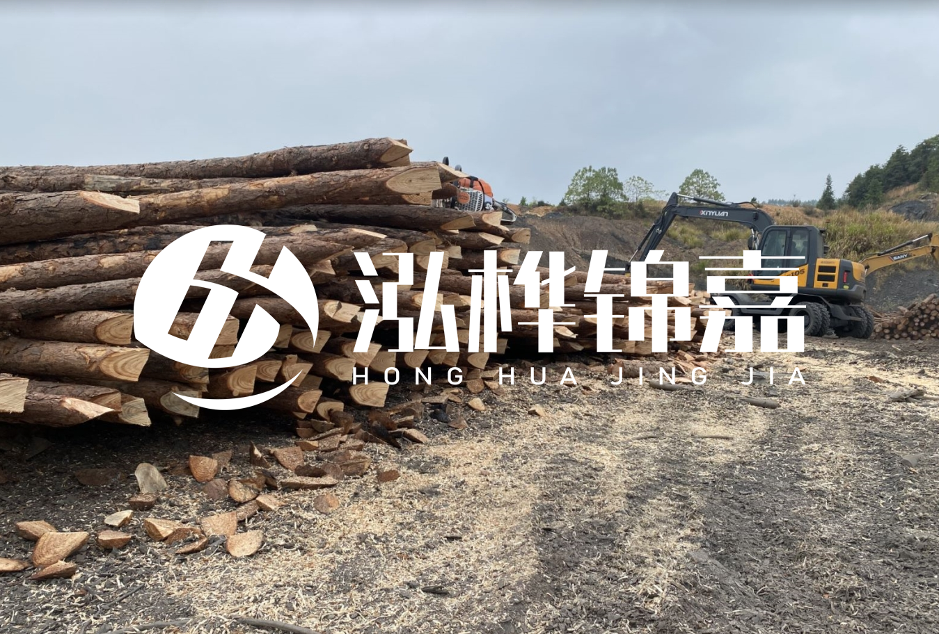松木樁尾徑是什么意思？