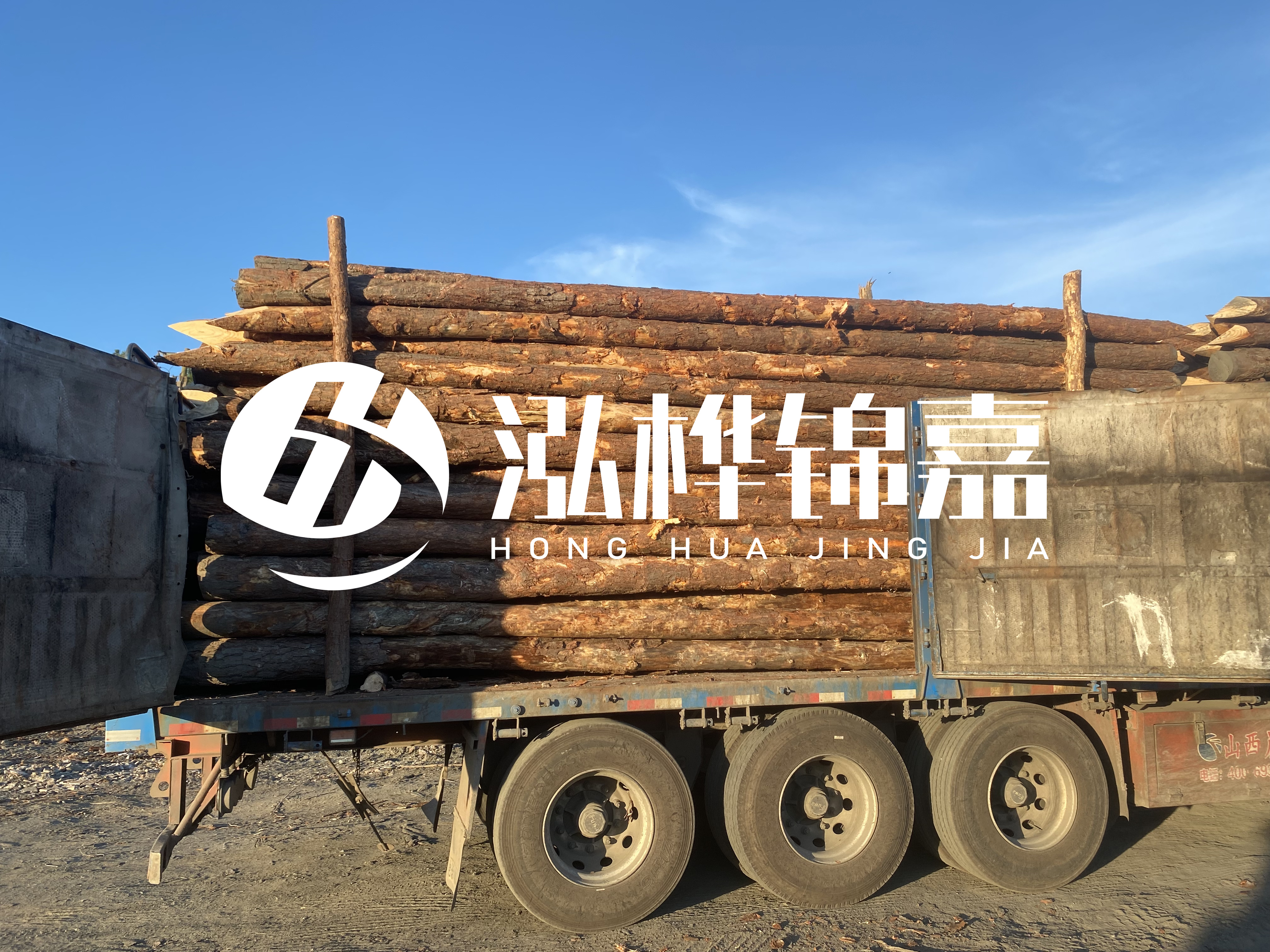 河道治理為什么要用松木樁？