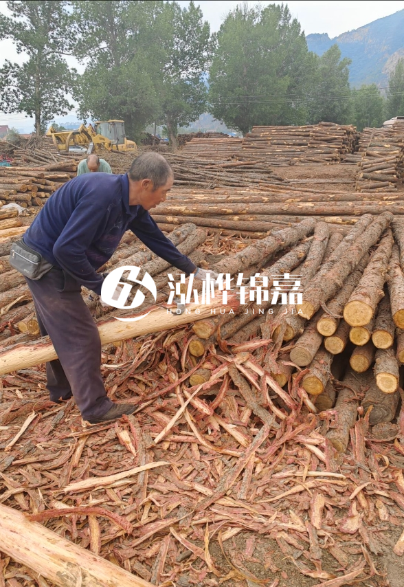 東營河道清淤專業(yè)施工隊-不同型號挖機清淤能力對比？