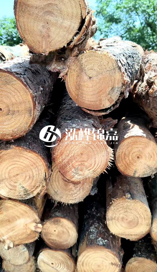 周口挖機(jī)打木樁專業(yè)施工-杉木樁施工打樁怎么打？