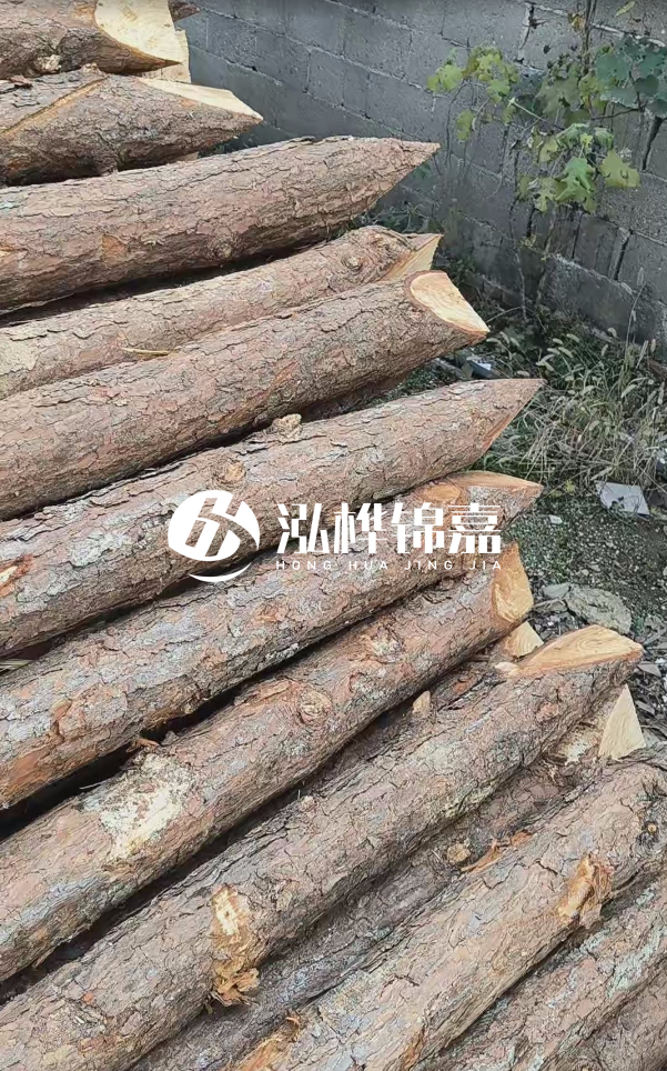 松木樁哪里能大量供應(yīng)？4米20公分松木樁價格是多少？