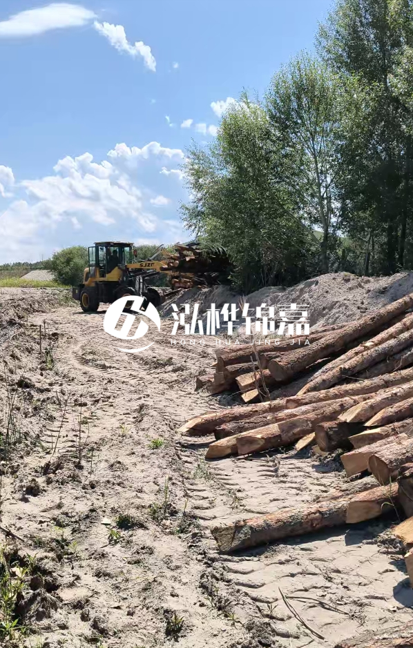 松木樁處理技術要求是什么-松木樁處理地基間距多少合適呢？