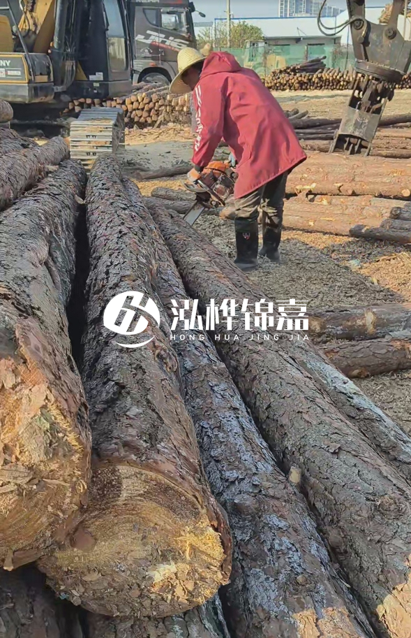 長沙打樁木批發(fā)廠家在哪里？聯(lián)系方式是什么？