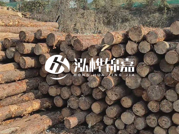 落葉松木材的主要產(chǎn)地在哪里？為什么比其他松木更耐腐蝕？