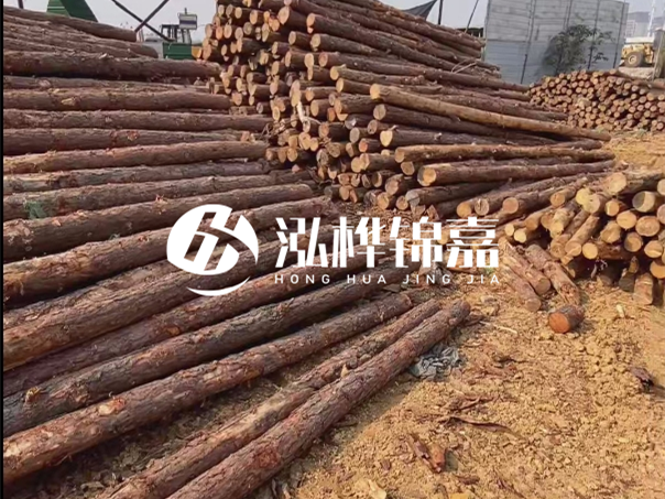 河道木樁施工遇到淤泥怎么辦？打多深才能防沖刷？