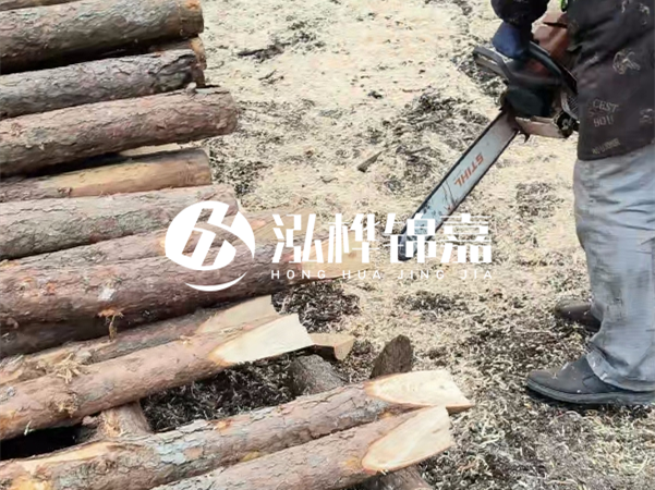 杉木樁批發(fā)廠家哪家好？產(chǎn)地直供渠道推薦！