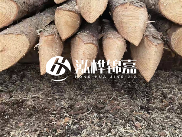 打樁木樁與鋼樁相比有哪些優(yōu)缺點(diǎn)？如何進(jìn)行后期維護(hù)？