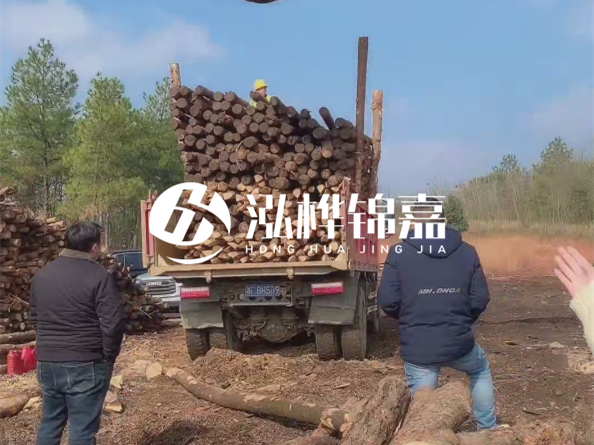 松木樁價格是按米算還是按根算？6米松木樁批發(fā)價每根多少錢？