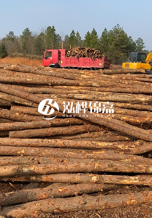 8米小頭11-13CM的松木樁價格是多少？打樁施工怎么算？