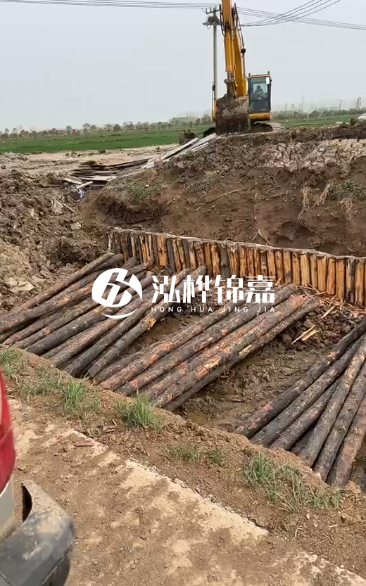 4米直徑12-13油松批發(fā)價最低多少？報價含稅含運(yùn)嗎？