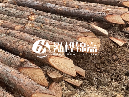 松木樁削尖的費用怎么算？按根收費還是包含在單價里？