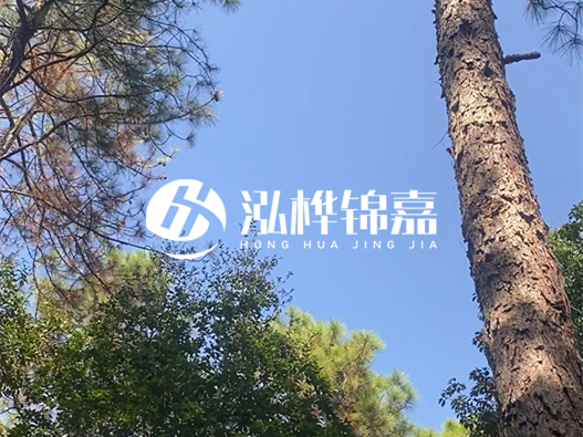 松木樁廠家泓樺錦嘉可以實(shí)地考察嗎？需要提前預(yù)約嗎？