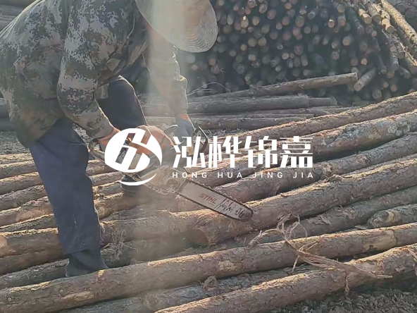 廣東打樁木源頭廠家泓樺錦嘉 - 如何選擇適合特定邊坡的松木樁？
