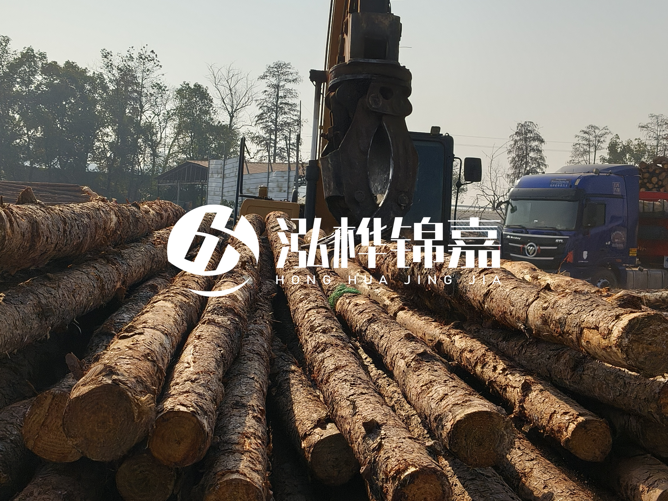 松木樁可以用來做什么？常用于哪些工程？