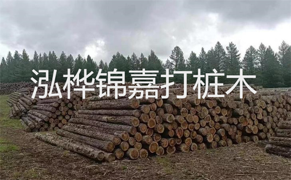 選擇紅磚護(hù)坡，打造獨(dú)特的美麗景觀