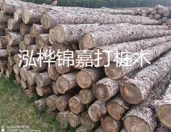 高效修補(bǔ)，保駕護(hù)航！水泥路面高強(qiáng)度修補(bǔ)料為您解決煩惱！