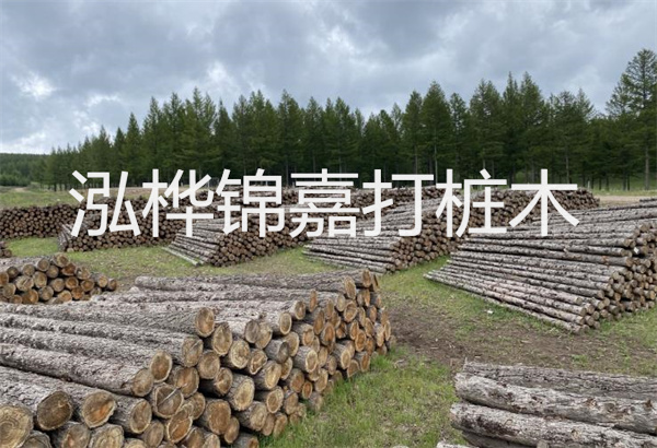 預(yù)制松木樁施工工藝：優(yōu)質(zhì)材料，高效快速，堅固耐用