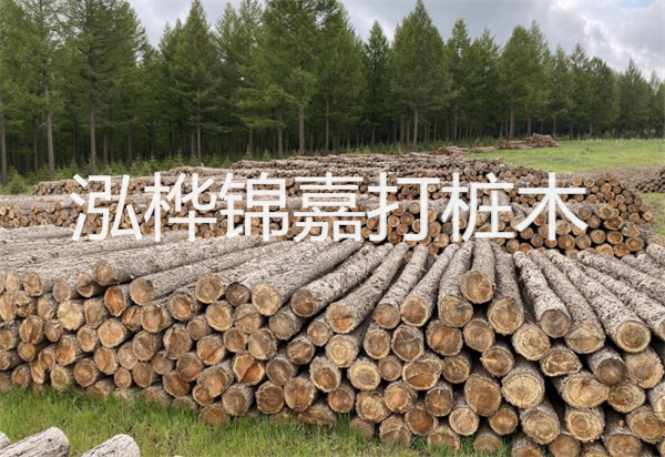 松木樁能施工嗎？探究視頻揭秘真相！