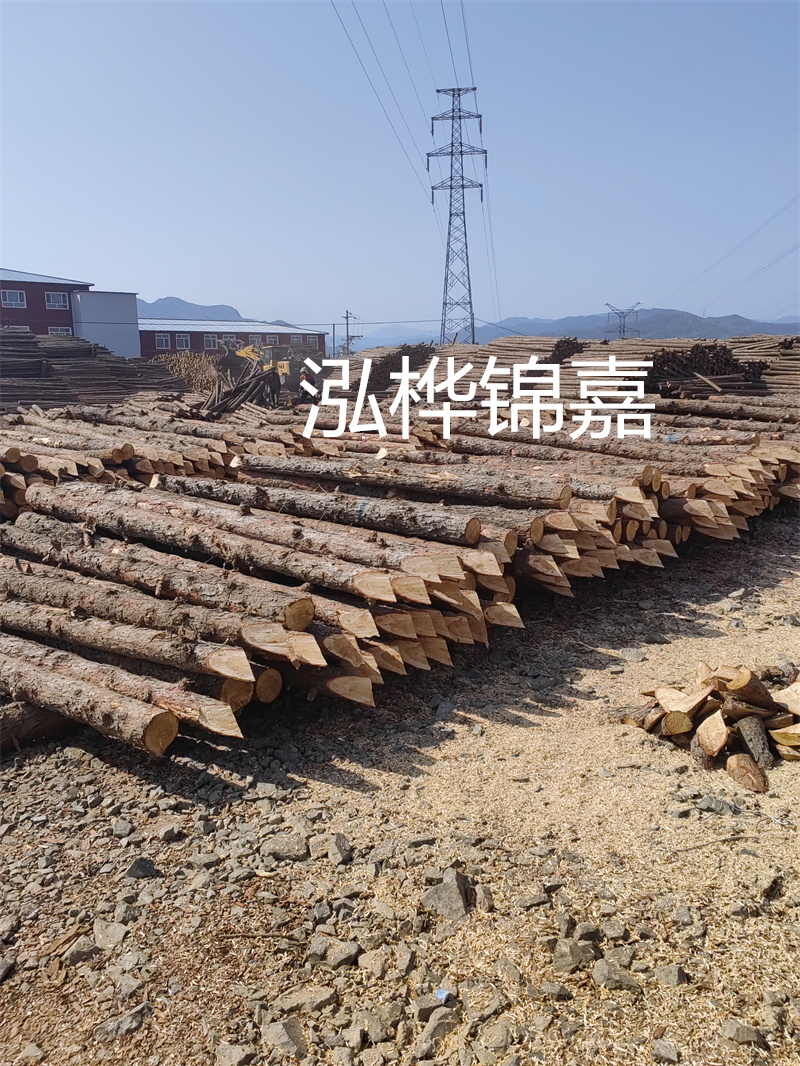 深入了解松木樁基礎施工單價，助力工程建設順利進行！