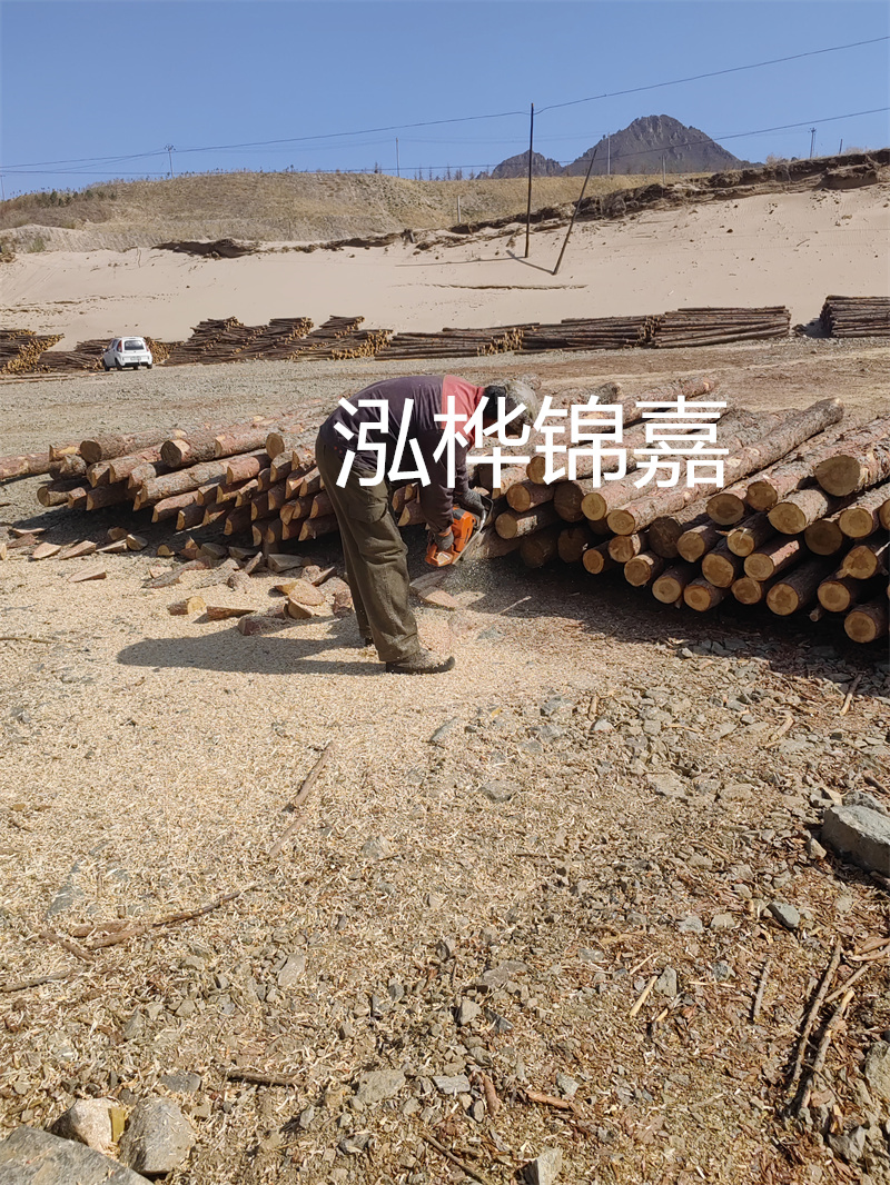 松木樁駁岸施工，打造水上風景線