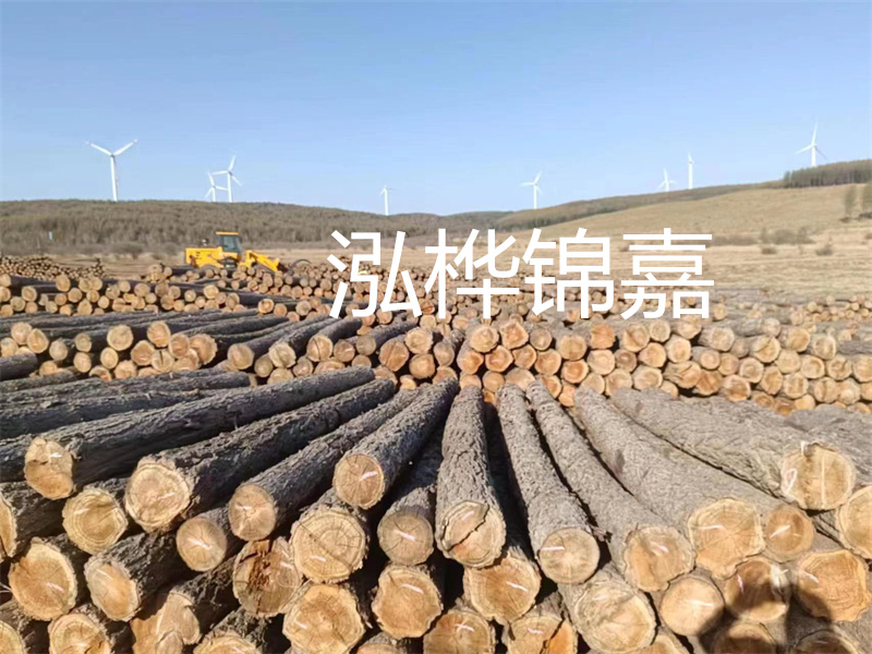 溫州松木樁施工廠家——為您打造堅固穩(wěn)定的建筑基礎(chǔ)！