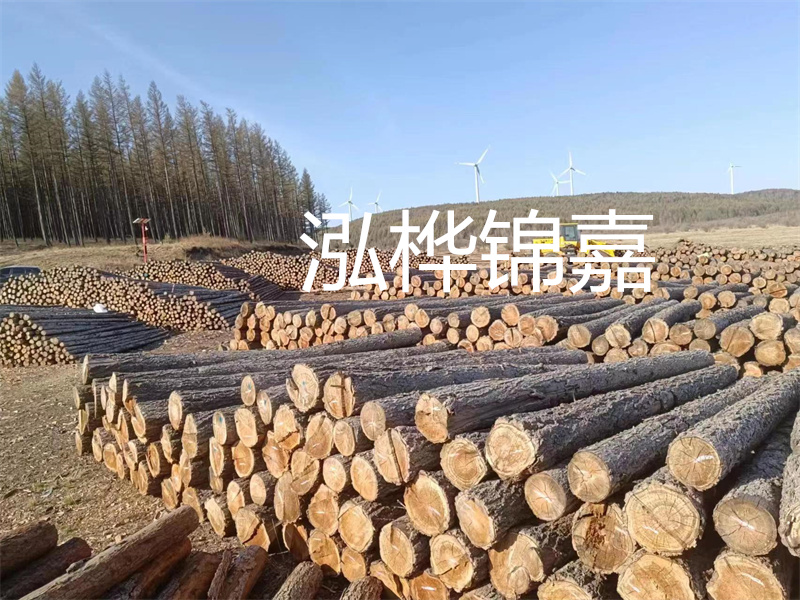 用路基松木樁施工方案提升工程質(zhì)量描述：了解路基松木樁施工方案的重要性，提高工程質(zhì)量關(guān)鍵詞：路基松木樁，施工方案，工程質(zhì)量