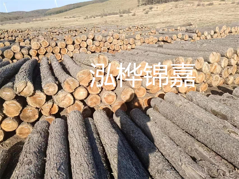 選擇合適的路緣石尺寸，打造美麗道路