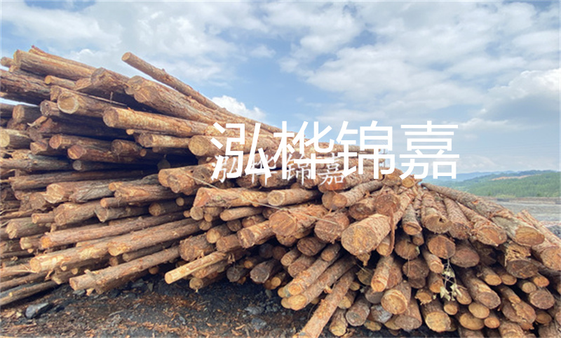 濮陽松木樁，卓越品質，安全可靠