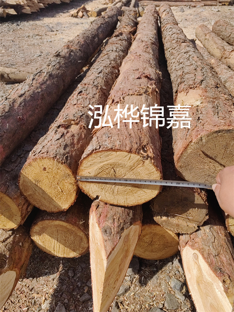 福建哪里買松木樁？