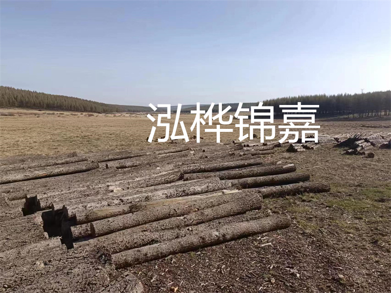 鄂州松木樁哪里好？推薦泓樺錦嘉松木樁業(yè)！
